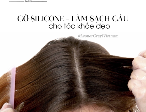 Giải pháp điều trị da dầu bị gàu và dưỡng tóc khỏe mạnh không rụng tóc